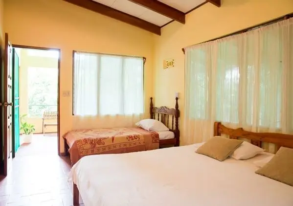 Comfort Tek Büyük Yataklı Oda, 1 Yatak Odası, Sigara İçilmez, Bahçe Manzaralı