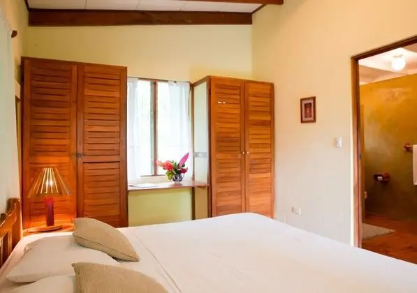 Comfort Tek Büyük Yataklı Oda, 1 Yatak Odası, Sigara İçilmez, Bahçe Manzaralı