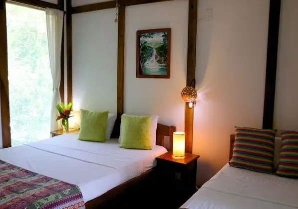 Superior Tek Büyük Yataklı Oda, 1 Yatak Odası, Küçük Mutfak, Bahçe Manzaralı