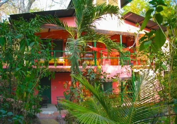 Superior Tek Büyük Yataklı Oda, 1 Yatak Odası, Küçük Mutfak, Bahçe Manzaralı