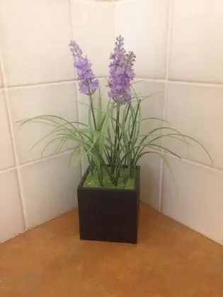 Family Dört Kişilik Oda, Birden Çok Yatak, Özel Banyo, Zemin Kat