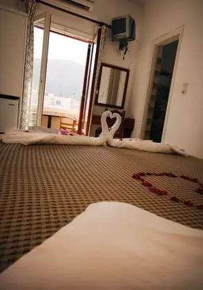 Standard Tek Büyük veya İki Ayrı Yataklı Oda, 1 Çift Kişilik veya 2 Tek Kişilik Yatak, Balkon