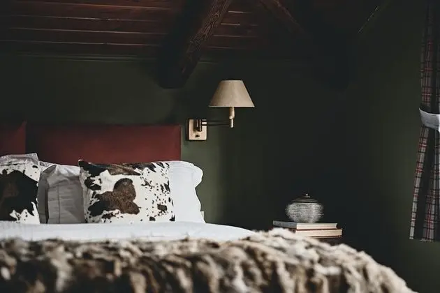 Deluxe Tek Büyük veya İki Ayrı Yataklı Oda