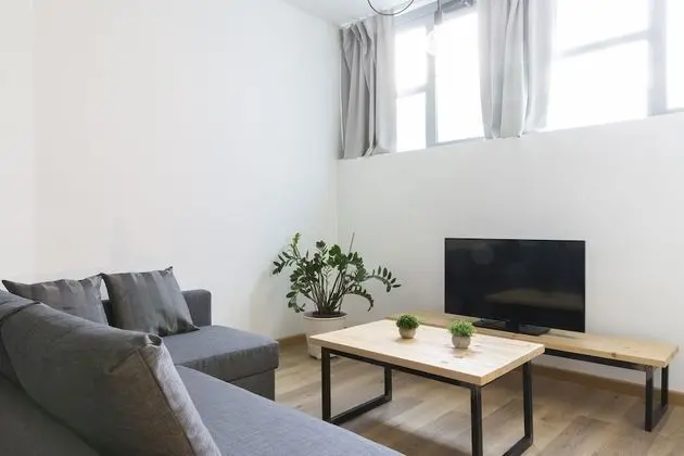 Apart Daire, 1 Yatak Odası (Flat 1)