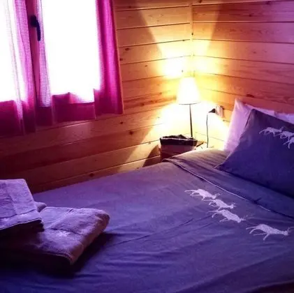 Bungalov, 1 Yatak Odası