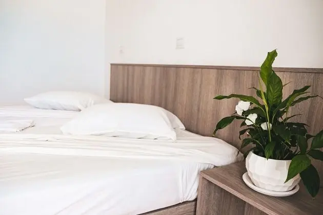 Tek Büyük veya İki Ayrı Yataklı Oda, Deniz Manzaralı