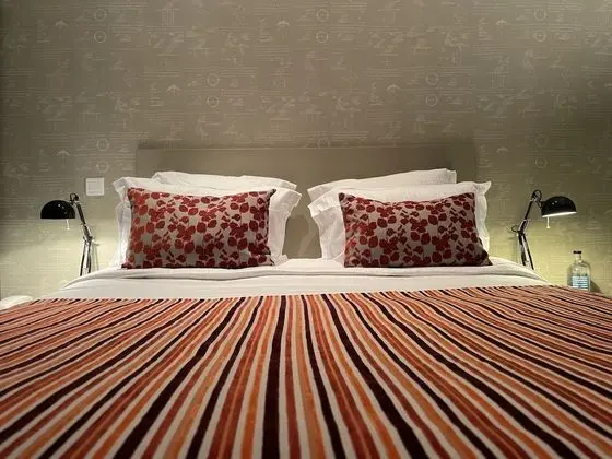 Superior Tek Büyük Yataklı Oda