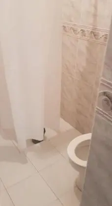 Üç Kişilik Oda