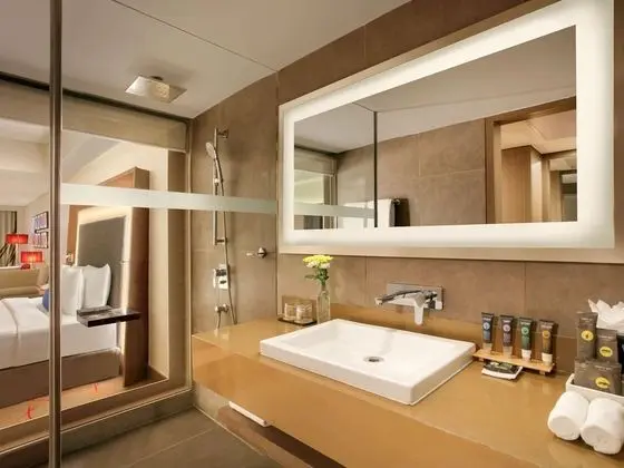 Stüdyo Süit, 1 Çift Kişilik Yatak, Business Dinlenme Salonu Kullanımı (Kitchenette)