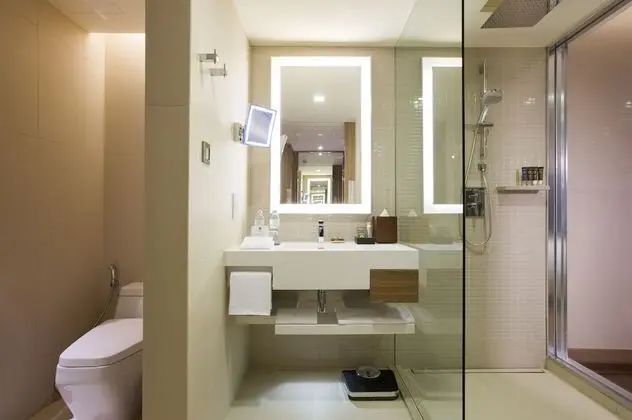 Deluxe Oda, 1 En Büyük (King) Boy Yatak, Şehir Manzaralı