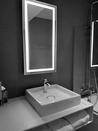 Executive Oda, 1 Çift Kişilik Yatak
