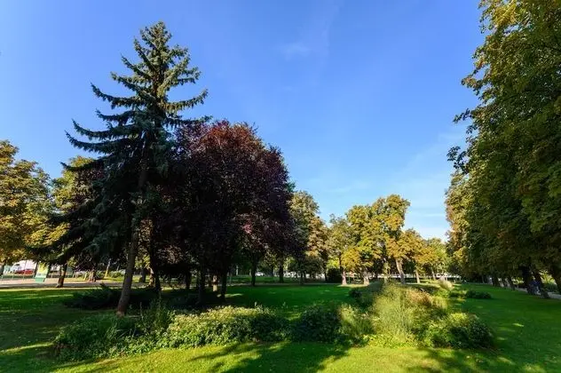 Standard Oda, Birden Çok Yatak