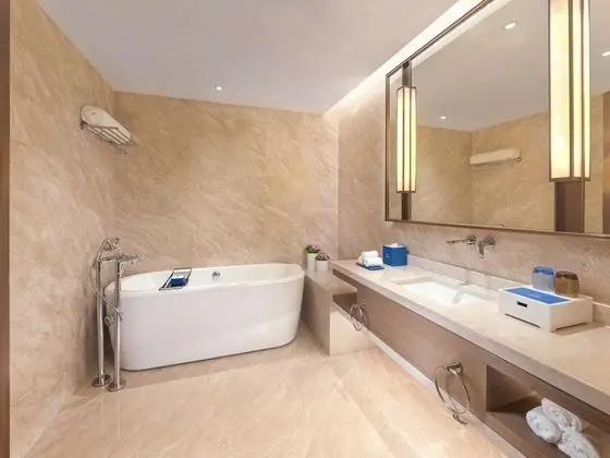 Executive Oda, 1 En Büyük (King) Boy Yatak, Business Dinlenme Salonu Kullanımı