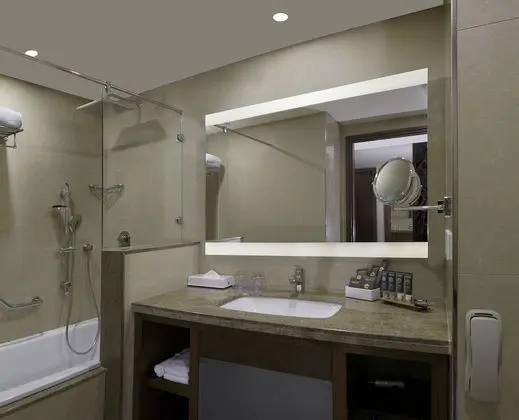 Deluxe Süit, 1 Çift Kişilik Yatak ve Çekyat