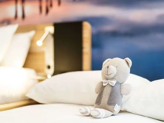 Standard Tek Büyük Yataklı Oda, 1 Çift Kişilik Yatak ve Çekyat (Sofa bed)