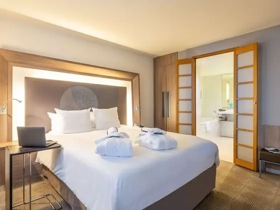 Executive Tek Büyük Yataklı Oda, 1 Çift Kişilik Yatak ve Çekyat