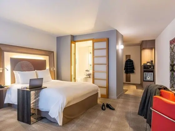 Executive Tek Büyük Yataklı Oda, 1 Çift Kişilik Yatak ve Çekyat