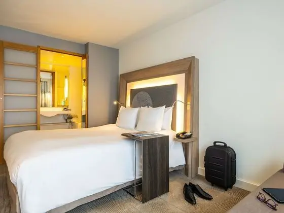 Superior Tek Büyük Yataklı Oda, 1 Çift Kişilik Yatak ve Çekyat