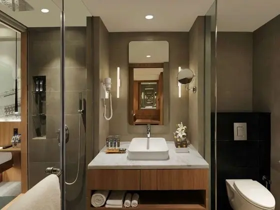 Premier Oda, 2 Tek Kişilik Yatak, Business Dinlenme Salonu Kullanımı, Şehir Manzaralı (High Floor)