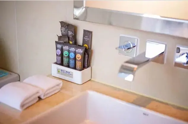 Süit, Şehir Manzaralı (1 double bed)