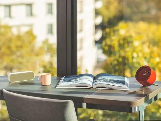 Executive Tek Büyük Yataklı Oda, 1 Çift Kişilik Yatak