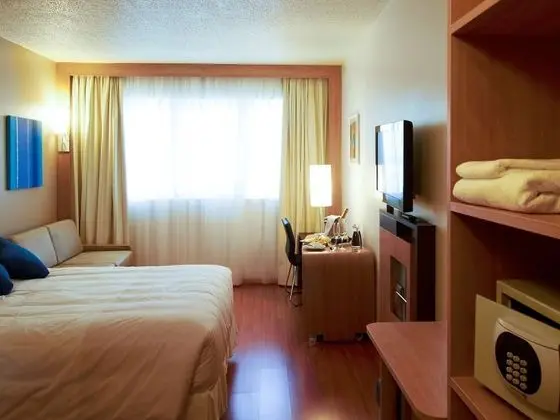 Executive Oda, 1 Çift Kişilik Yatak