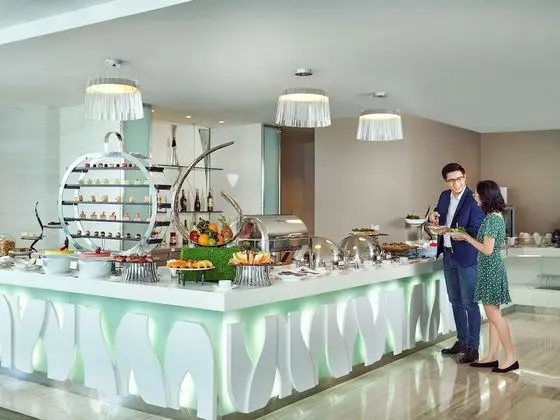 Executive Oda, 1 En Büyük (King) Boy Yatak, Business Dinlenme Salonu Kullanımı