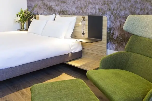 Deluxe Tek Büyük Yataklı Oda, 1 Çift Kişilik Yatak