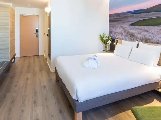 Deluxe Tek Büyük Yataklı Oda, 1 Çift Kişilik Yatak