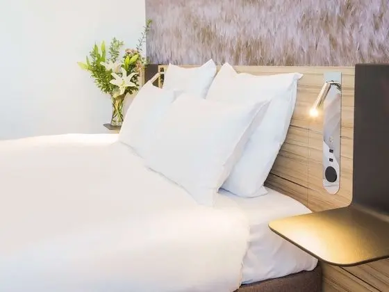 Deluxe Tek Büyük Yataklı Oda, 1 Çift Kişilik Yatak