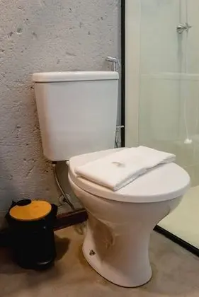 Ev