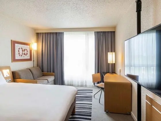 Superior Tek Büyük Yataklı Oda, 1 Çift Kişilik Yatak ve Çekyat