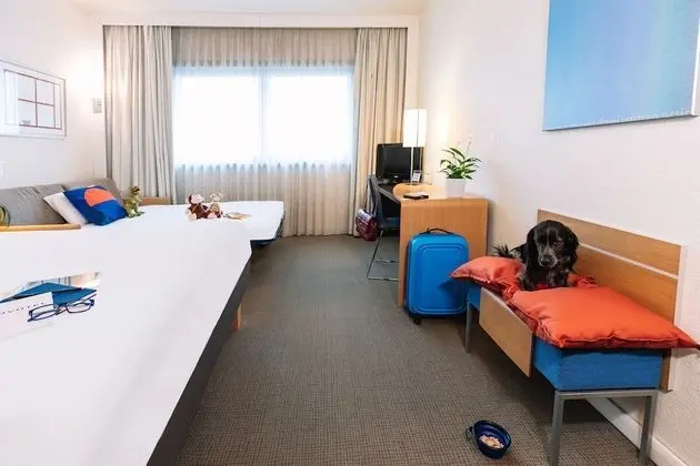Family Oda, 1 Çift Kişilik Yatak ve Çekyat