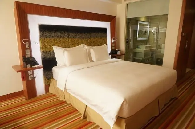 Superior Oda, 1 En Büyük (King) Boy Yatak, Şehir Manzaralı