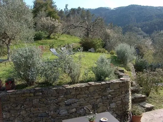 Junior Süit, Tepe Manzaralı