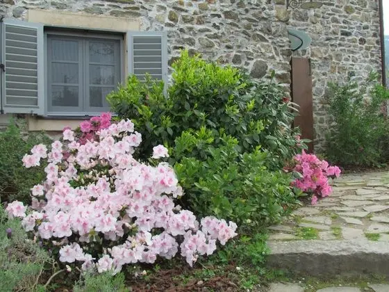 Junior Süit, Tepe Manzaralı