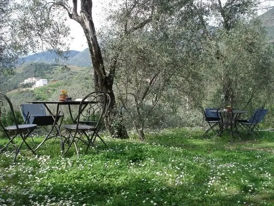 Junior Süit, Tepe Manzaralı