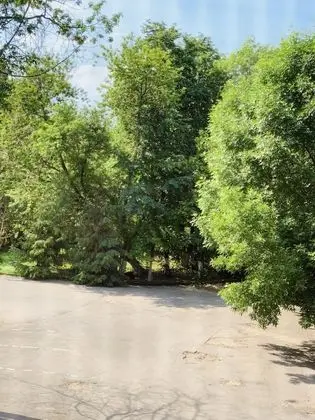 Basic Dört Kişilik Oda, Bahçe Manzaralı