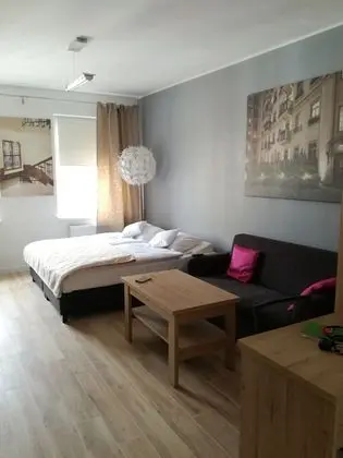 Comfort Stüdyo Süit, 1 Büyük (Queen) Boy Yatak ve Çekyat, Sigara İçilmez, Mutfak