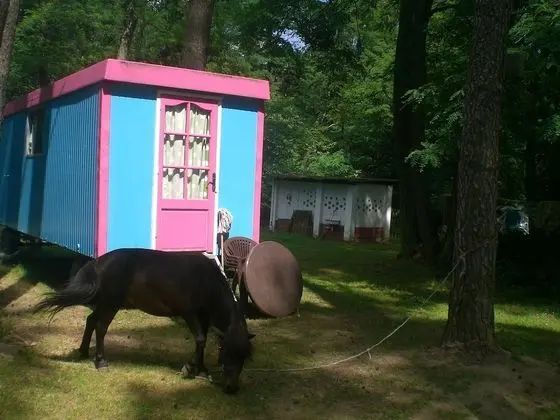 Basic Karavan, 1 Yatak Odası