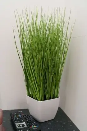 Standard Ev, Özel Banyo