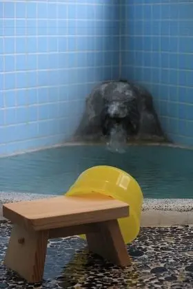 Traditional Dört Kişilik Oda, Ortak Banyo (Japanese-Style)