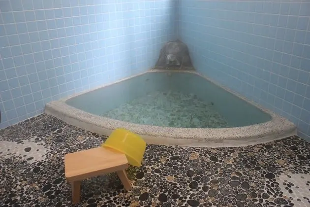 Traditional Üç Kişilik Oda, Ortak Banyo (Japanese-Style)