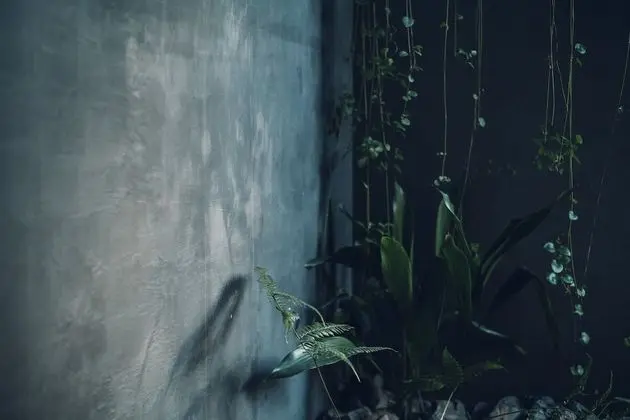 Traditional Ev, Sigara İçilmez