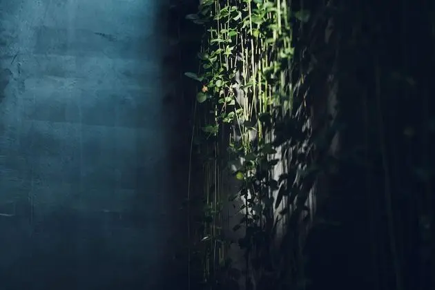 Traditional Ev, Sigara İçilmez