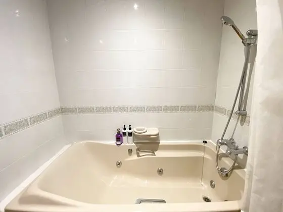 Deluxe Apart Daire, 1 Yatak Odası