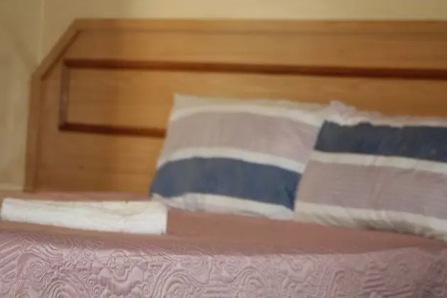 Dağ Evi