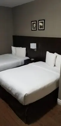 Standard Oda, 2 Çift Kişilik Yatak