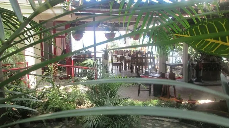 Senior Oda, Engellilere Uygun, Şömine