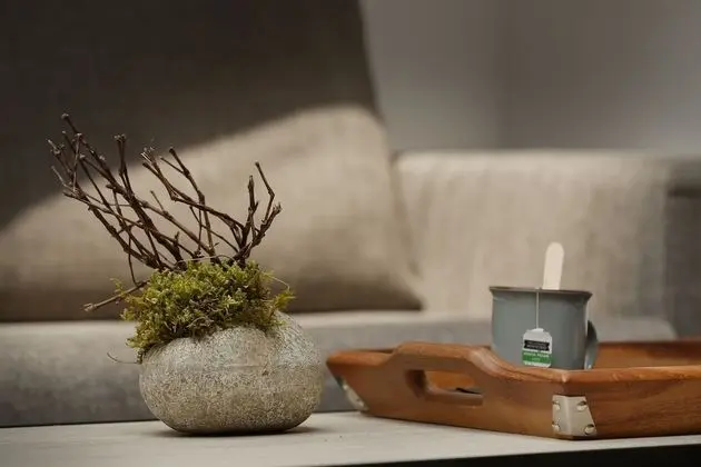 Superior Tek Büyük Yataklı Oda